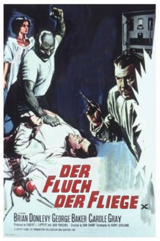 Der Fluch der Fliege (1965)