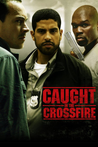 In the Crossfire (2010)
