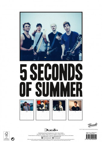 5 Seconds Of Summer: So Perfect (2014)