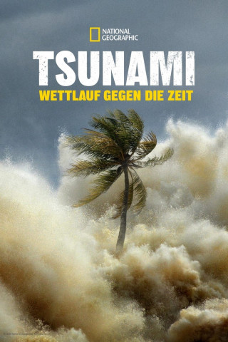 Tsunami: Wettlauf gegen die Zeit (2024)