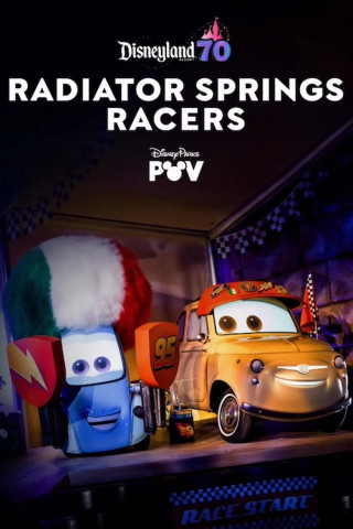 Radiator Springs 500 ½ (2014)
