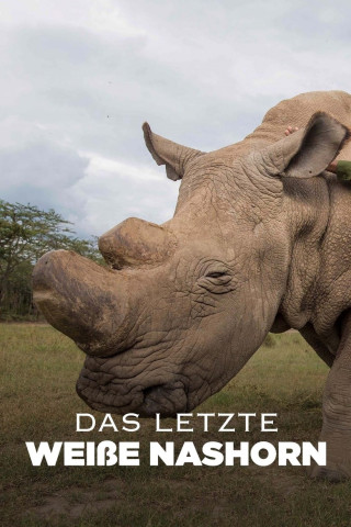 Das letzte Weiße Nashorn (2019)