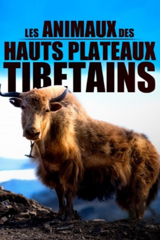 Ein Jahr in der Wildnis Tibets (2020)
