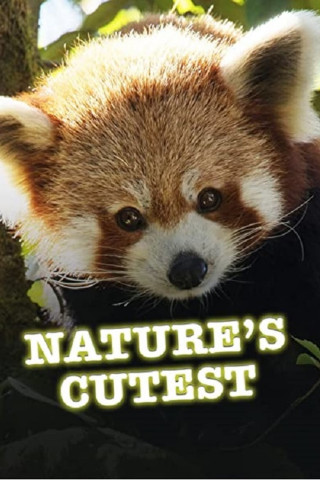 Nature's Cutest (2021)