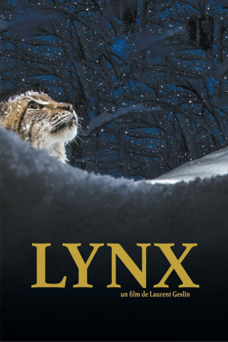 Luchs (2021)