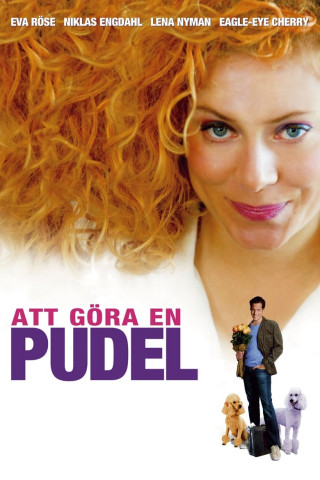 Att göra en pudel (2006)