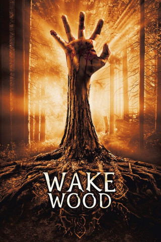Wake Wood - Die letzte Warnung (2011)