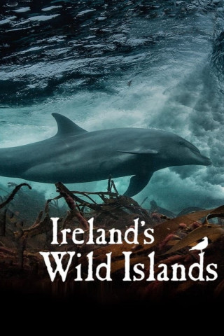 Ireland's Wild Islands (2023)