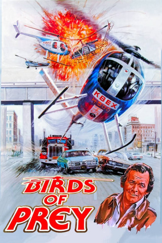 Duell der Helikopter (1973)