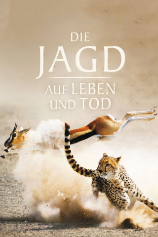 Die Jagd – Auf Leben und Tod (2015)