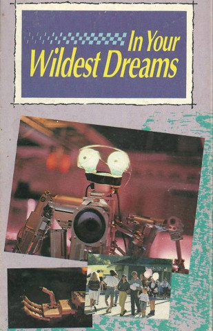 In Your Wildest Dreams (1991)