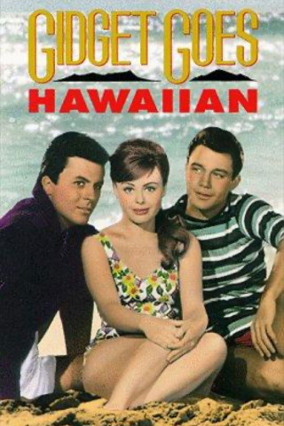 April entdeckt Hawaii (1961)