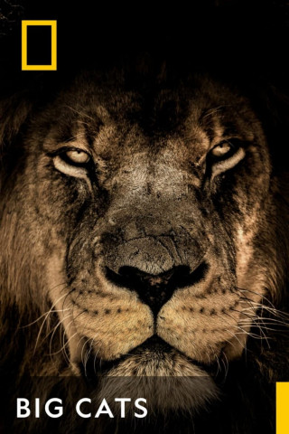 Die Welt der Raubkatzen (2018)