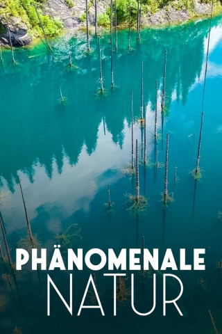 Phänomenale Natur (2021)