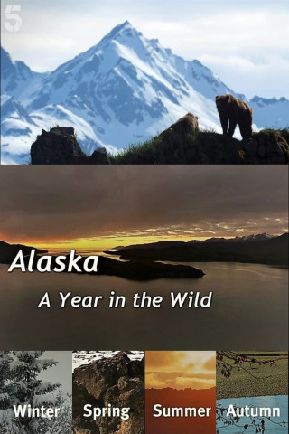 Alaska: A Year in the Wild (2017)