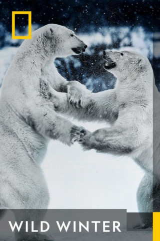 Wild Winter (2023)