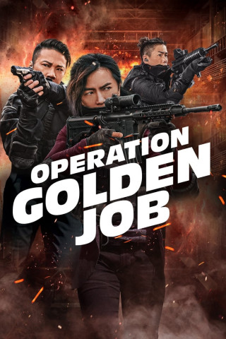 Operation Golden Job (2018)