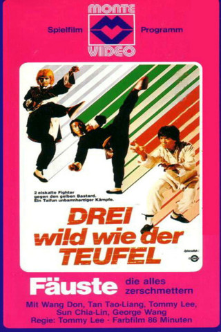 Drei wild wie der Teufel (1977)