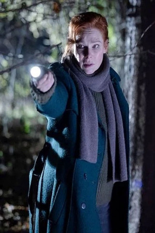 Charlotte Link - Einsame Nacht (2025)