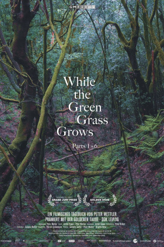 While the Green Grass Grows 1&6 (2025)