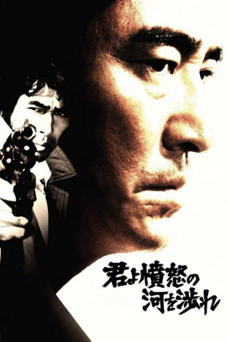 君よ憤怒の河を渉れ (1976)