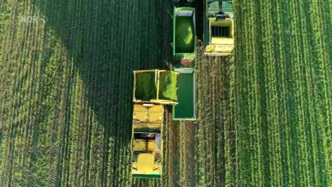 Abenteuer Ernte (2020)