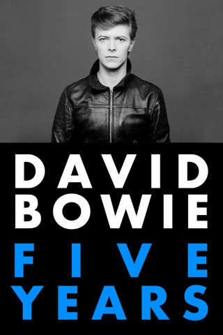 David Bowie - Der Weg zur Legende (2013)