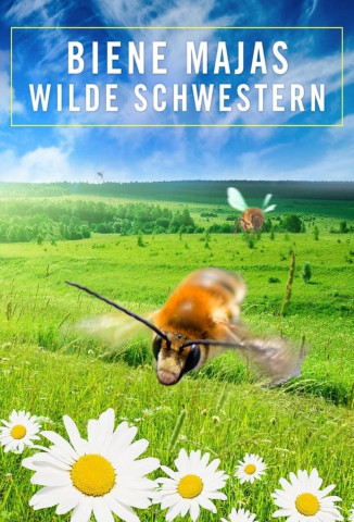 Wildbienen und Schmetterlinge (2017)