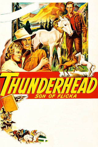 Thunderhead, der vierbeinige Teufel (1945)