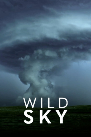 Wild Sky (2025)