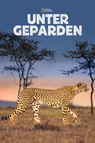 Unter Geparden (2017)
