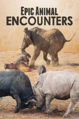 Epic Animal Encounters (2019)