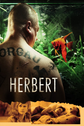 Herbert (2016)