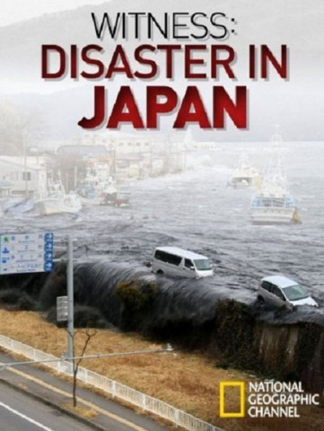 Japans Erdbebenkatastrophe (2011)