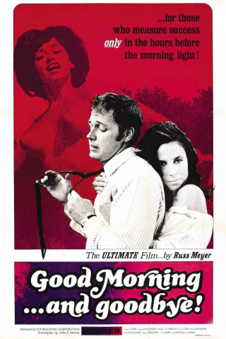 Guten Morgen... und auf Wiedersehen (1967)