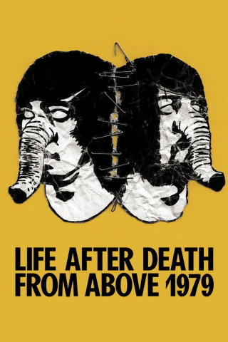 Life After Death from Above 1979 (2014)