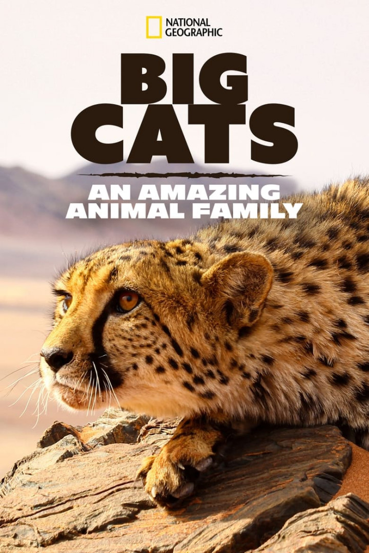 Raubkatzen – Eine faszinierende Tierfamilie (2015)