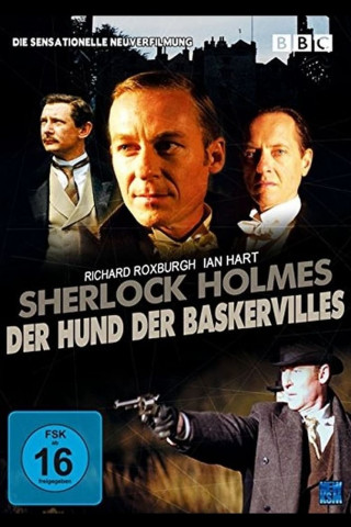 Der Hund der Baskervilles (2002)