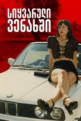 Die schönste Sache der Welt - Georgische Trauben (1999)