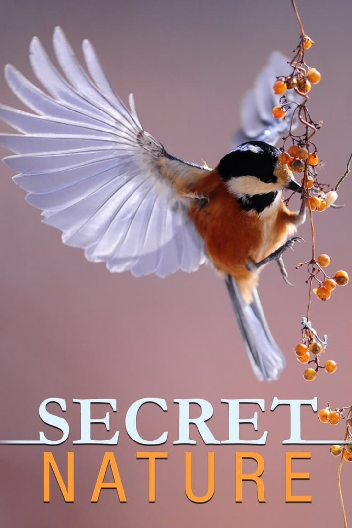 Secret Nature (2004)