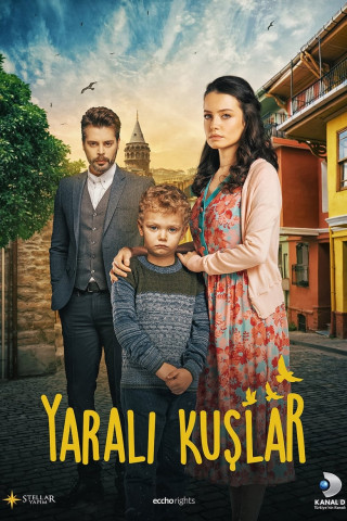 Wounded Birds - Yarali kuslar (2019)