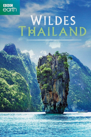 Wildes Thailand (2017)