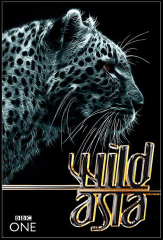 Wild Asia (2009)