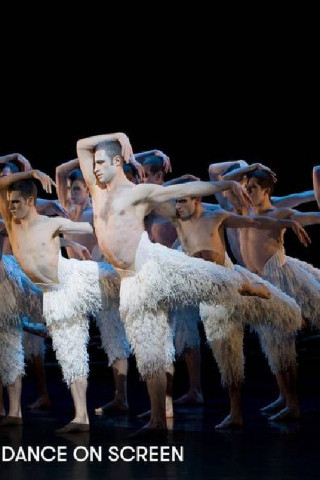 A History of Dance on Screen (2014)