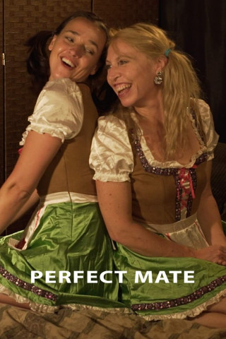 Perfect Mate [OV] (2018)