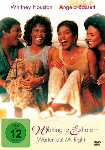 Waiting to Exhale - Warten auf Mr. Right (1995)