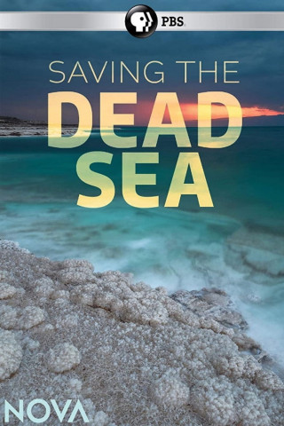 Saving the Dead Sea (2019)