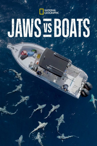 Hai vs. Boot (2022)