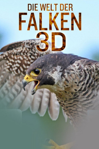 Die Welt der Falken 3D (2013)