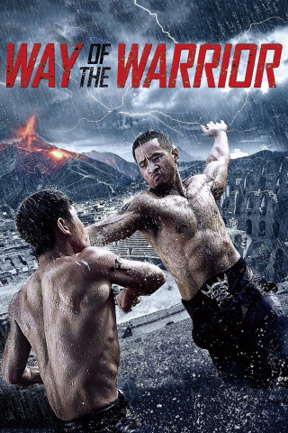 Way of the Warrior (2013)